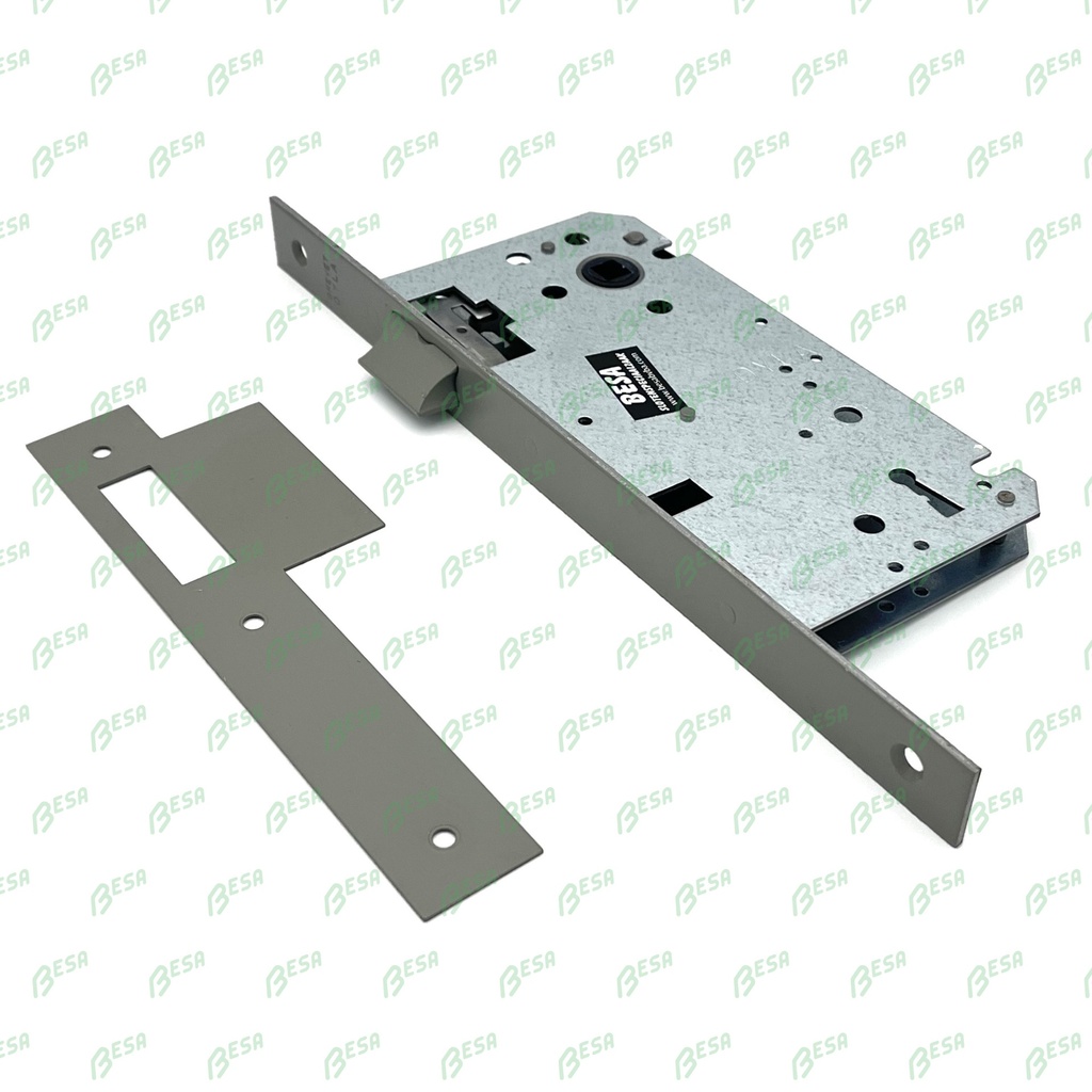 DYLA 100 LOOP- OF DAGSLOT