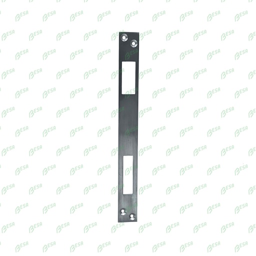 [TYPE2] DYLA TYPE 2 SLUITPLAAT VOOR ROLSLOT 74A